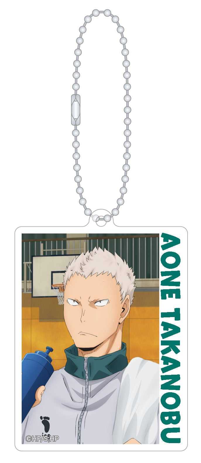 Haikyu!! Acrylic Key Chain Collection - 1 Random