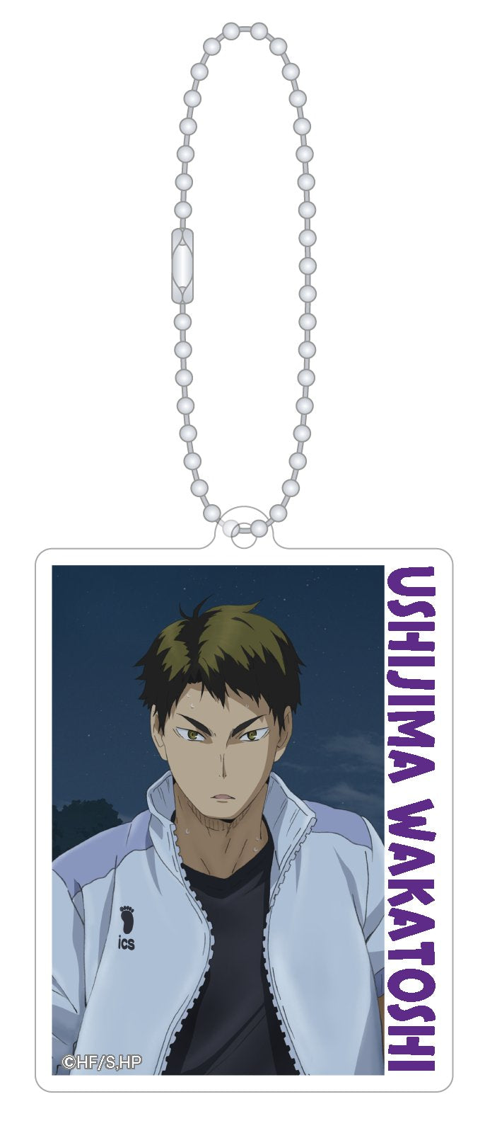 Haikyu!! Acrylic Key Chain Collection - 1 Random