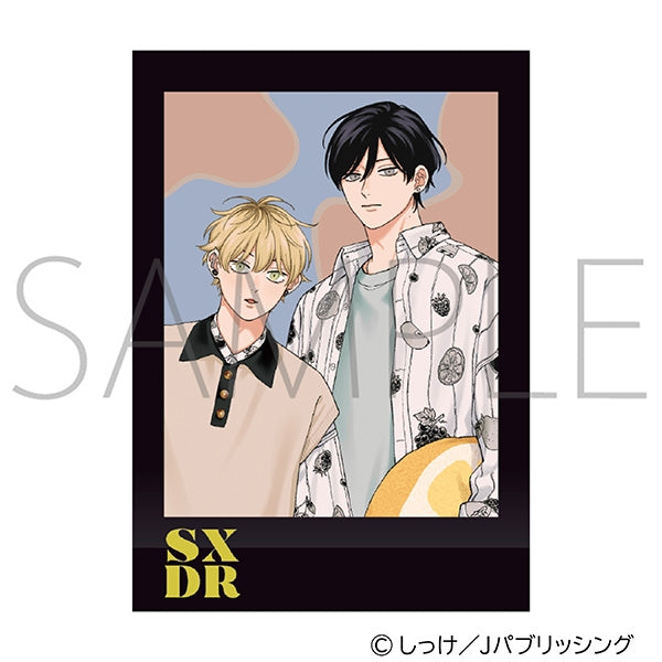 Sex Drop PashaColle Card - 1 Random