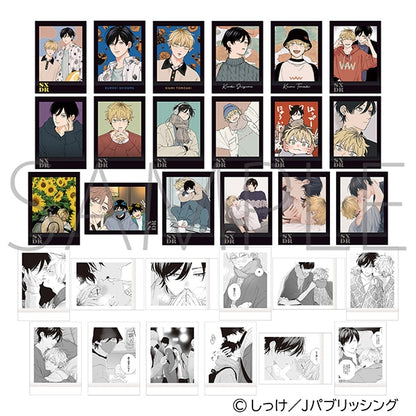 Sex Drop PashaColle Card - 1 Random